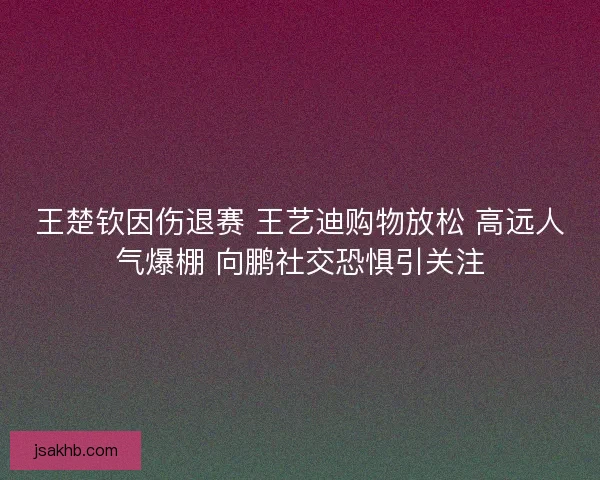 王楚钦因伤退赛 王艺迪购物放松 高远人气爆棚 向鹏社交恐惧引关注